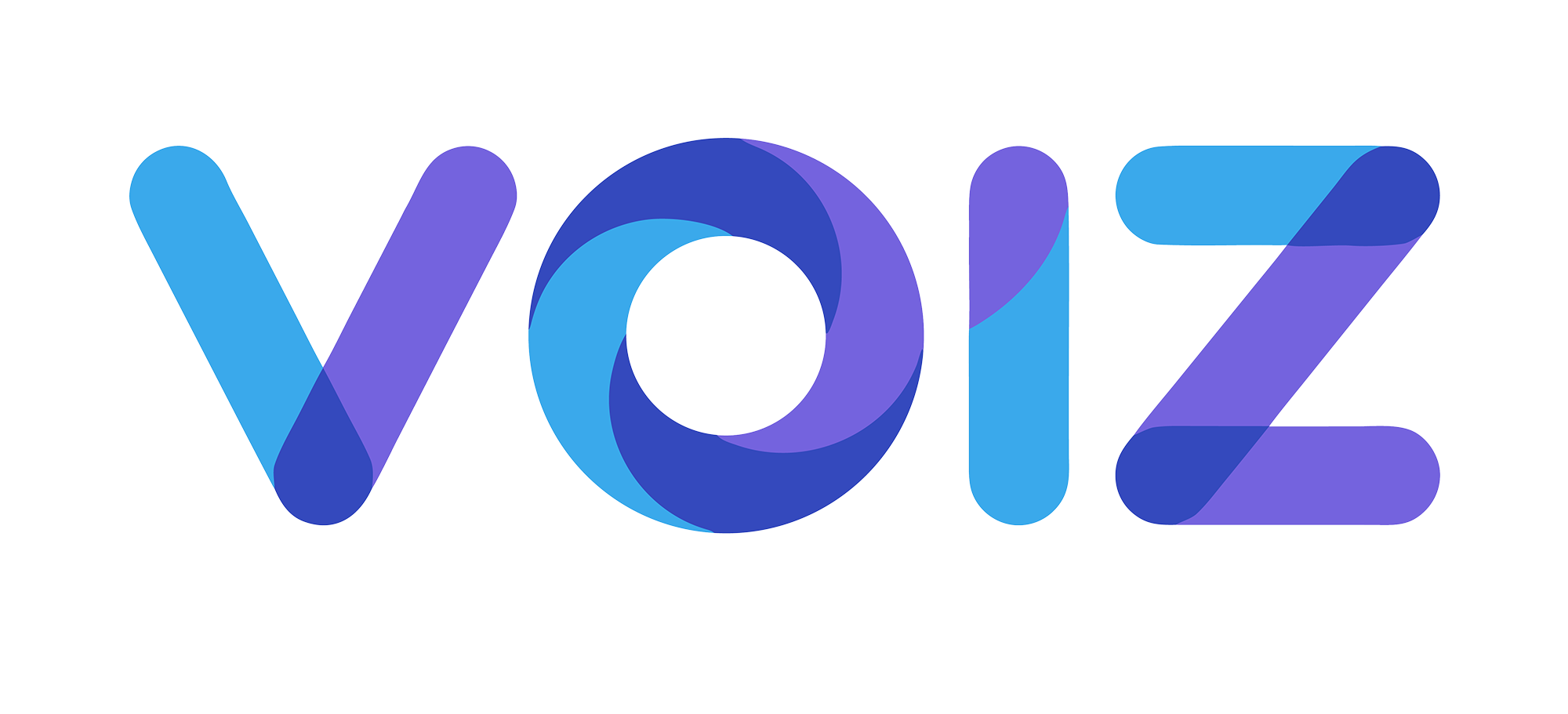 voiz visual